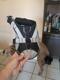 XS Dog Life Jacket