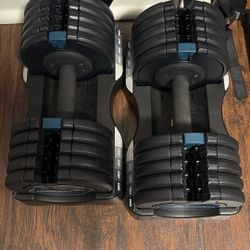 Pro Form Adjustable Dumbbells. 