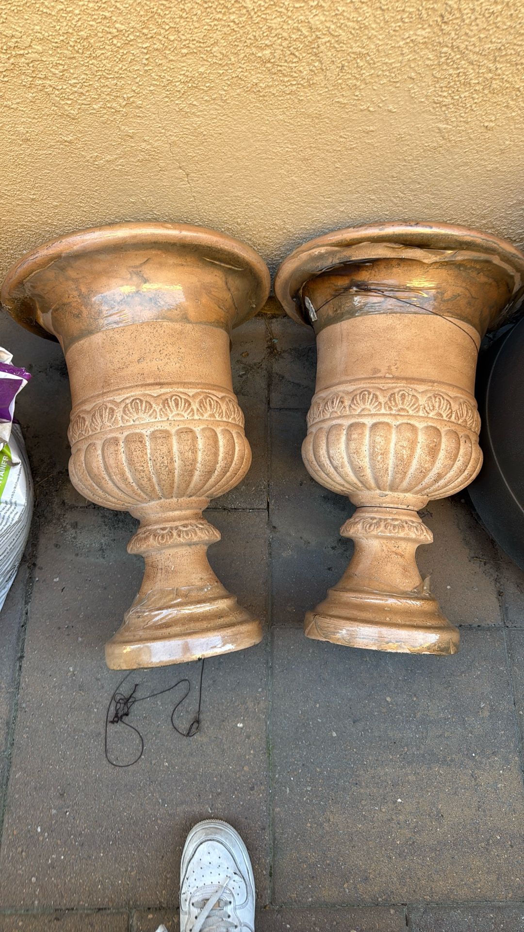 Planters Potting Plants