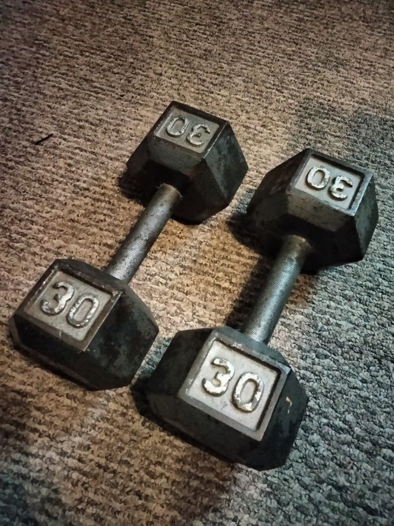 Two 30lb Dumbbells From Academy