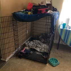 Dog Cage Don’t Mind The Clutter 