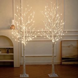 NOWSTO Lighted Birch Trees