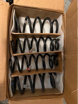 Tesla OEM Suspension Coils