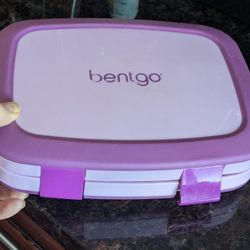 Free, Broken Bentgo Lunch Box 