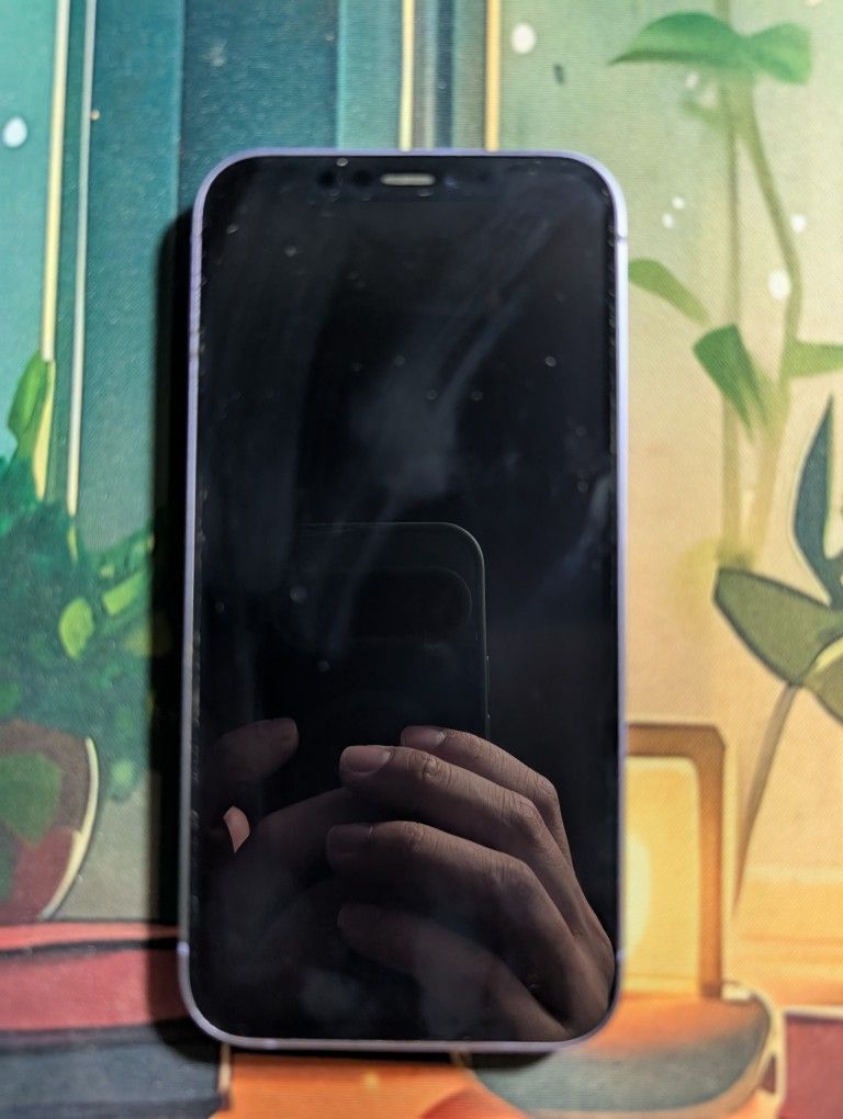 iPhone 12