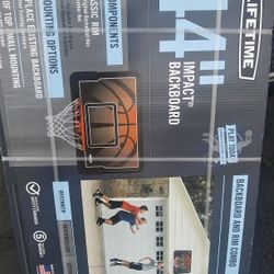 44" Backboard and Hoop