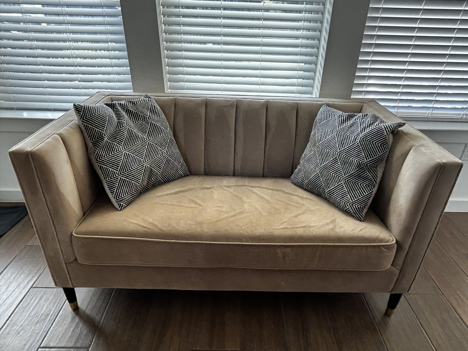 World Market Exclusive Velvet Loveseat