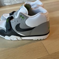 nike air trainer chlorophyll 12