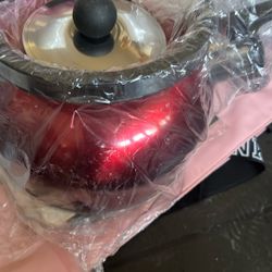 3.0 L Stainless Kettle 