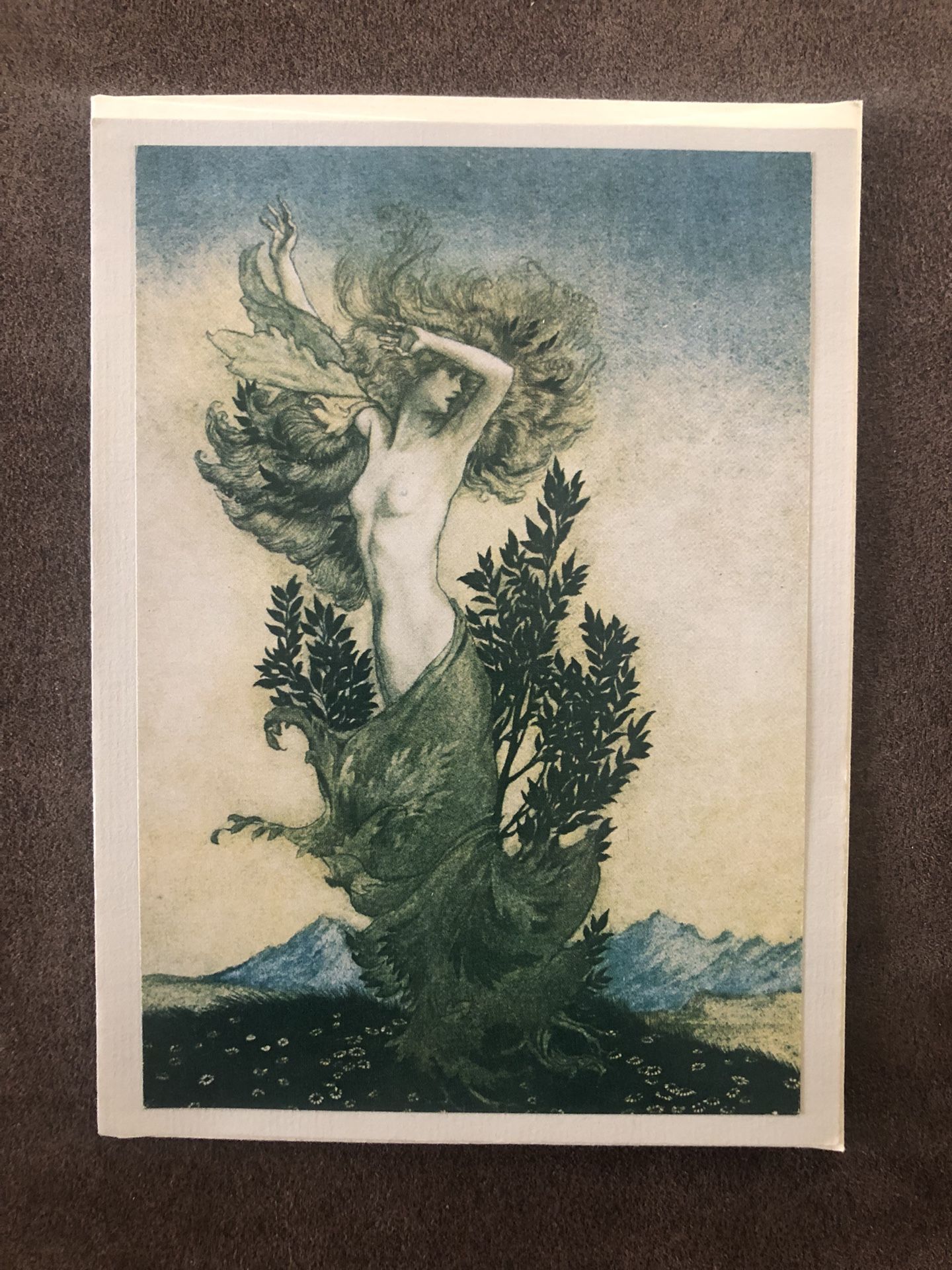 Vintage Green Tiger Press La Jolla Ca NOS Blank Greeting Card