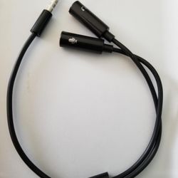 Auxiliary To Mic And Headset 