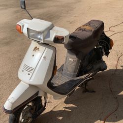 1986 Yamaha Riva