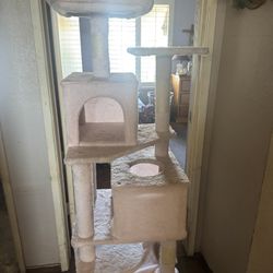 Cat Tower