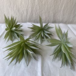 Faux Desert Succulent Plants - Air Plants