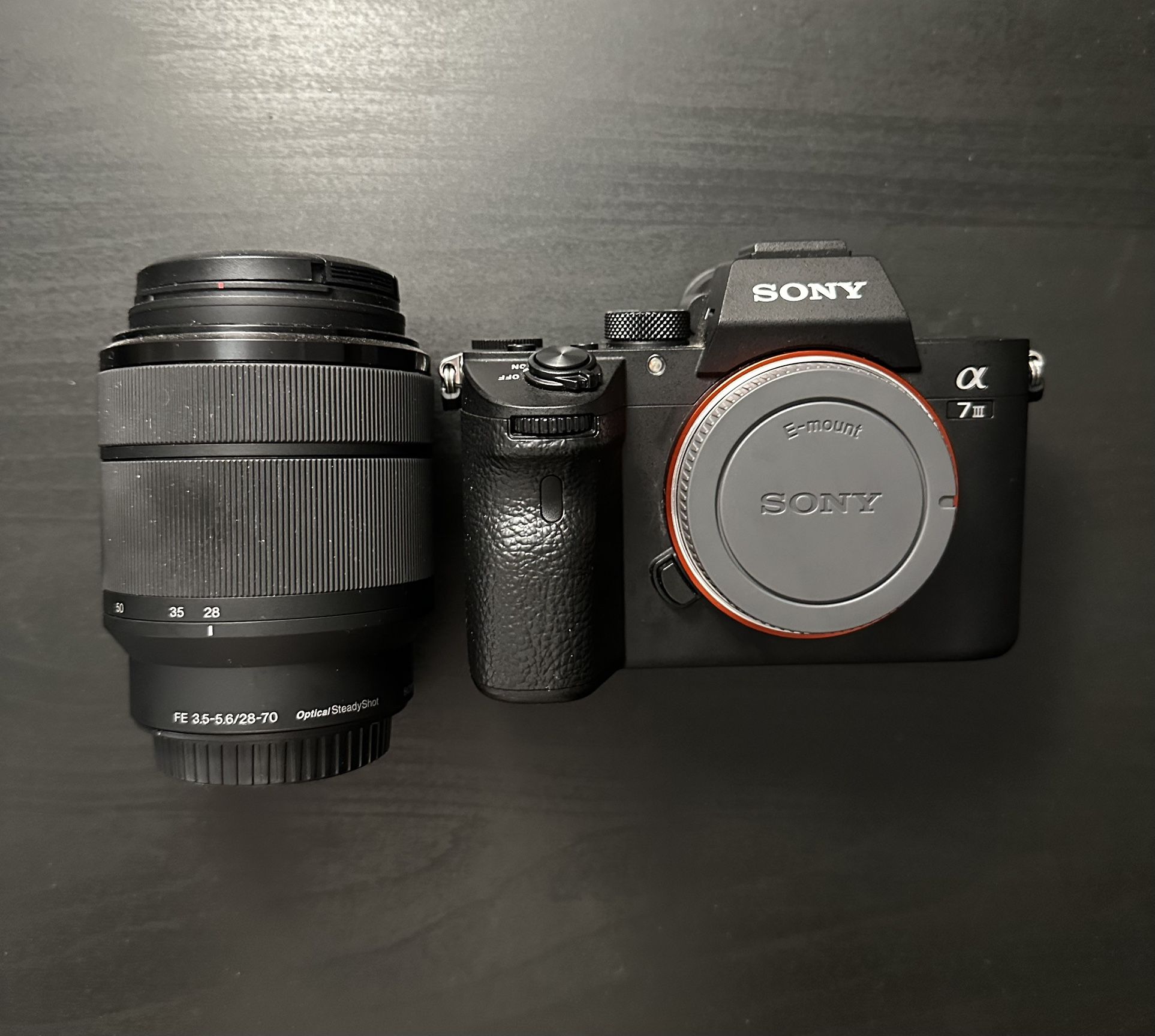 Sony A7iii or A73