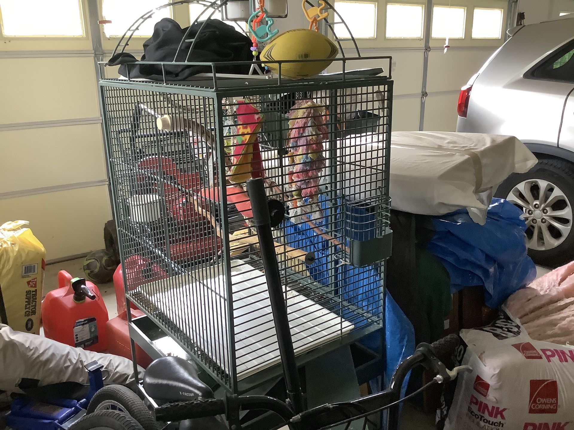 Large bird cage with accessories including seed tray (not in the display)