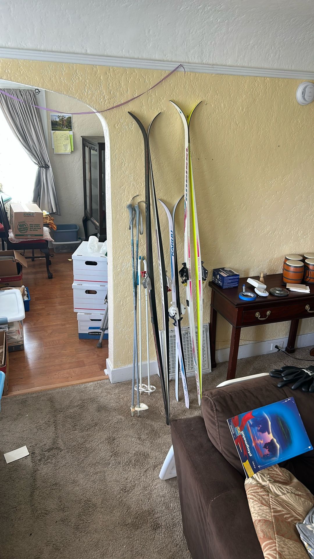 Cross country Skis