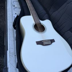 takamine 