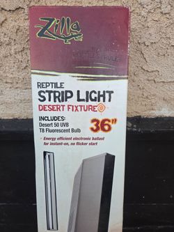 Aquarium Essentials