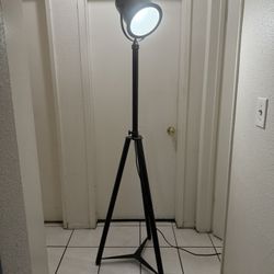 Modern Floor Lamp