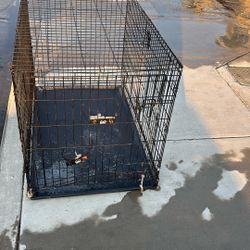 Dog Kennel