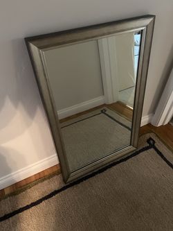 Bathroom or hallway mirror 20in x 30in