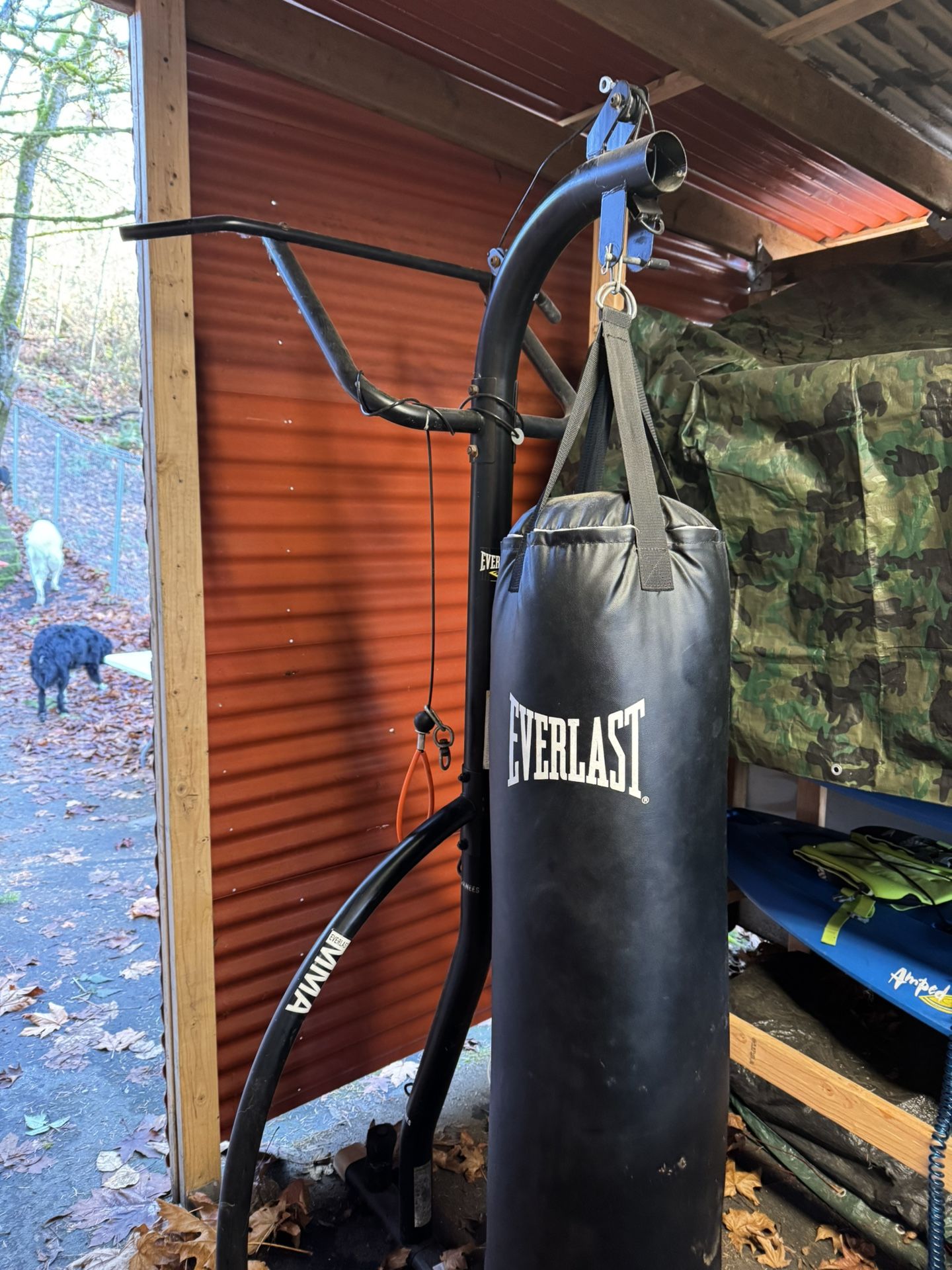 Punching  Bag With Pull Up Bar