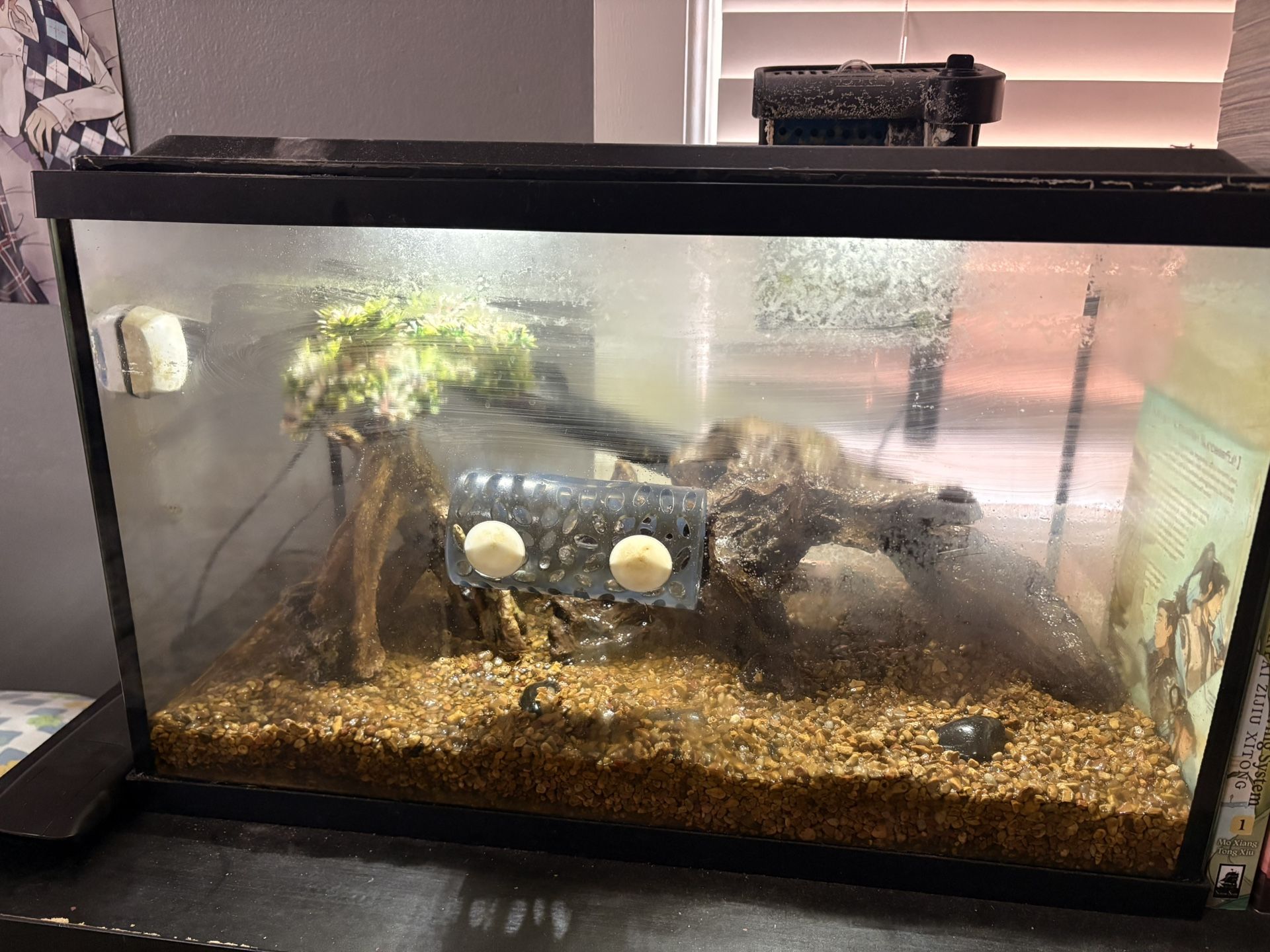 10 Gal Fish Tank