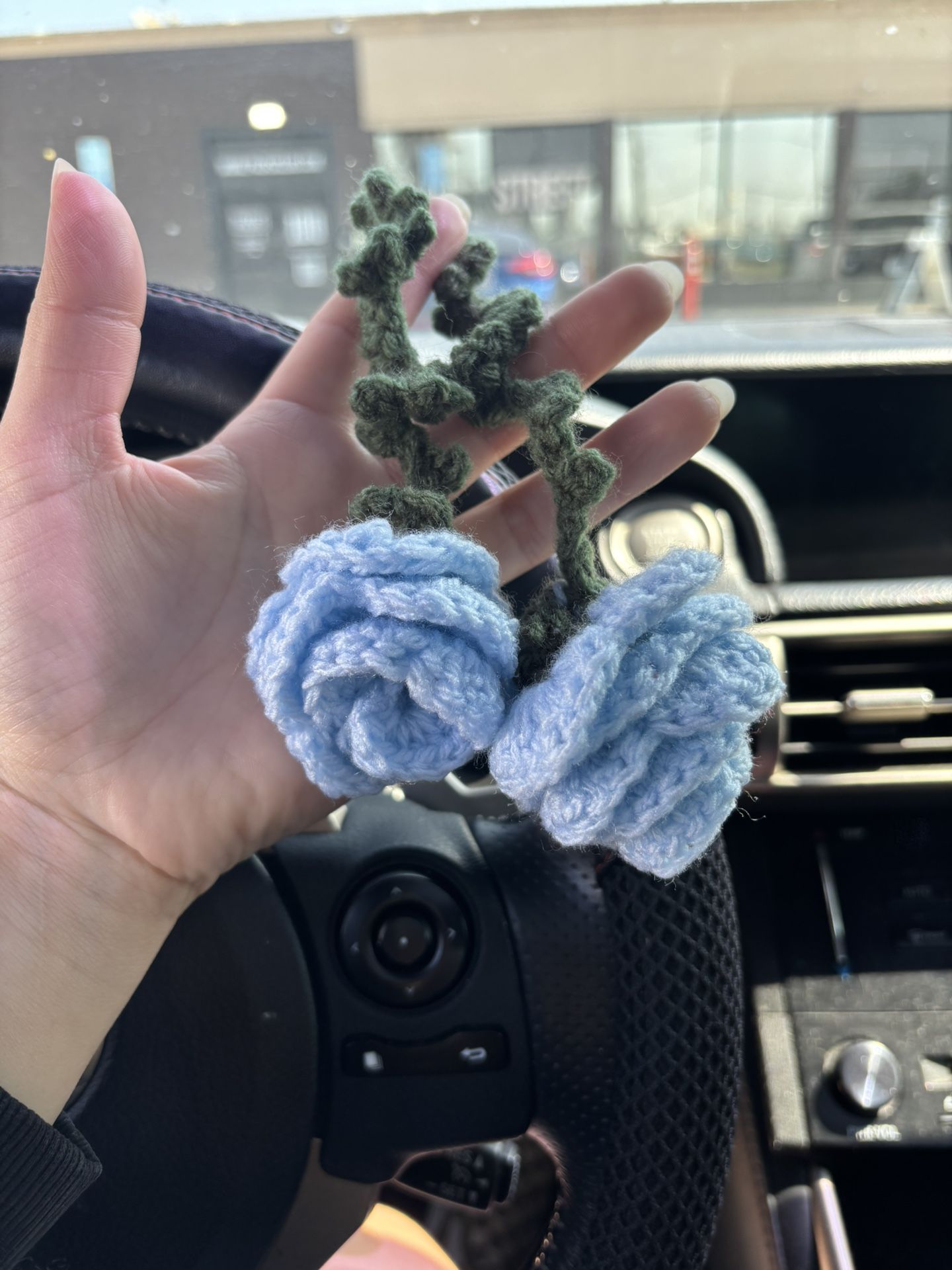 Rear Car Accessories