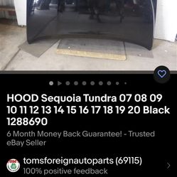 2007-2012 Toyota Tundra Hood