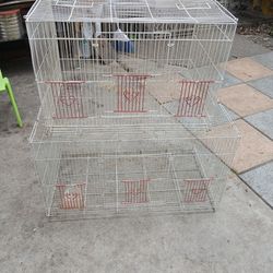Bird Cage Double....Doble Gaula Para Pajaros 
