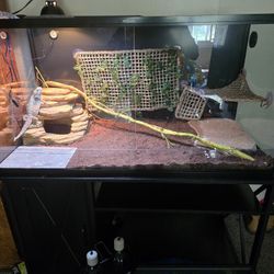 Hundred twenty gallon tank and stand