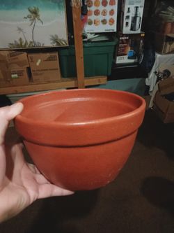 Medium Plant Pot