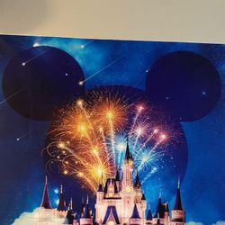 Disney Photo Backdrop 