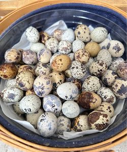 Quail Egg