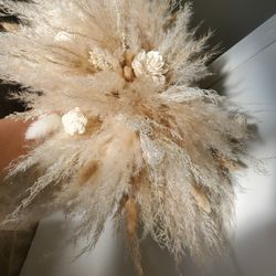 pampas grass