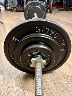 Standard Curl Bar [Gently Used]with Cast Iron Weight Plates of 25s, 10s and 5 lbs. in NEW Condition Total= 94 lbs