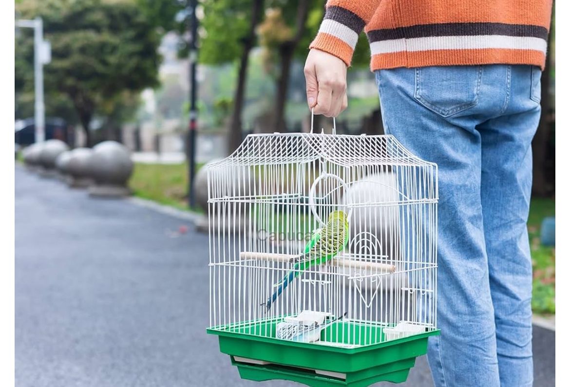 bird cage small
