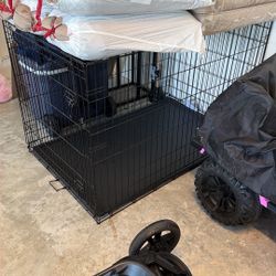Dog Cage 