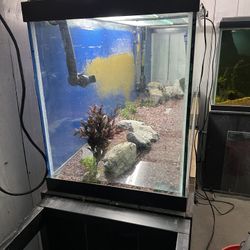 Fish Tank And Stand 