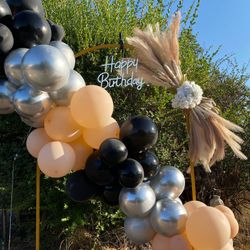 Balloon Garland
