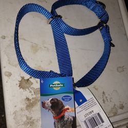 Martingale DOG COLLAR