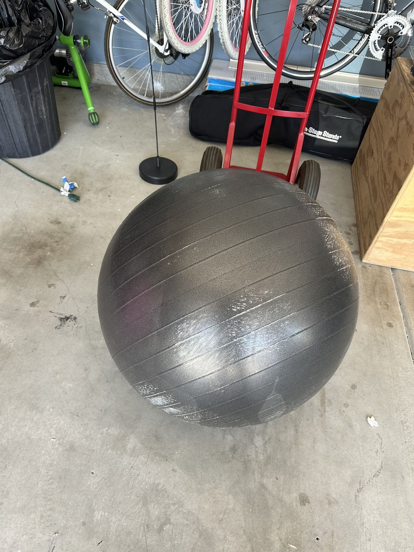 FREE EXERCISE BALL
