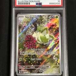 Pokemon Paldea Evolved Sprigatito Illustration Rare #196/193 PSA 10 for Sale in Phoenix, AZ - OfferUp Pokemon Paldea Evolved Sprigatito Illustration Rare #196/193 PSA 10 for Sale in Phoenix, AZ - OfferUp