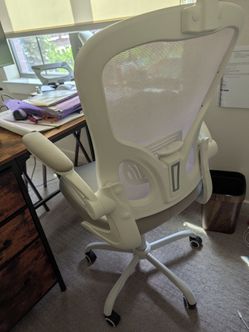 Ergonomic Office Chair