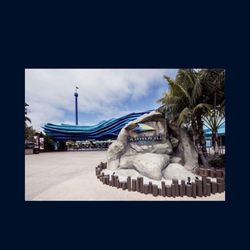 Sea World Tickets
