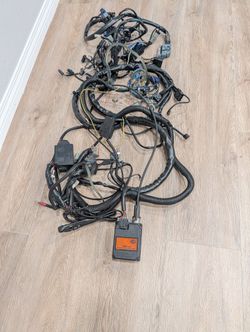 Harley-Davidson Electro-Motor Cruise Control Assembly, part number 70955-04 & Wiring Harness