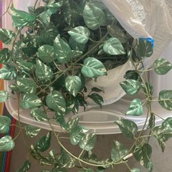 IKEA Artificial  Garlands -Green Leaves 