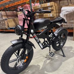 Motorcycle electric bicycle
