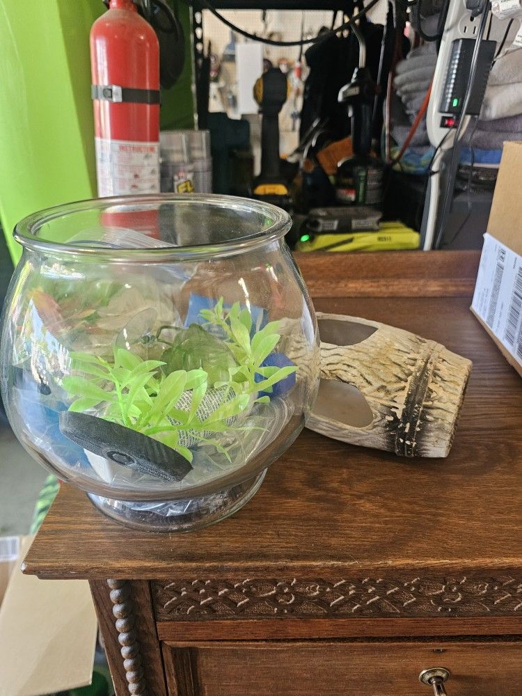 Fish Bowl And Accessories